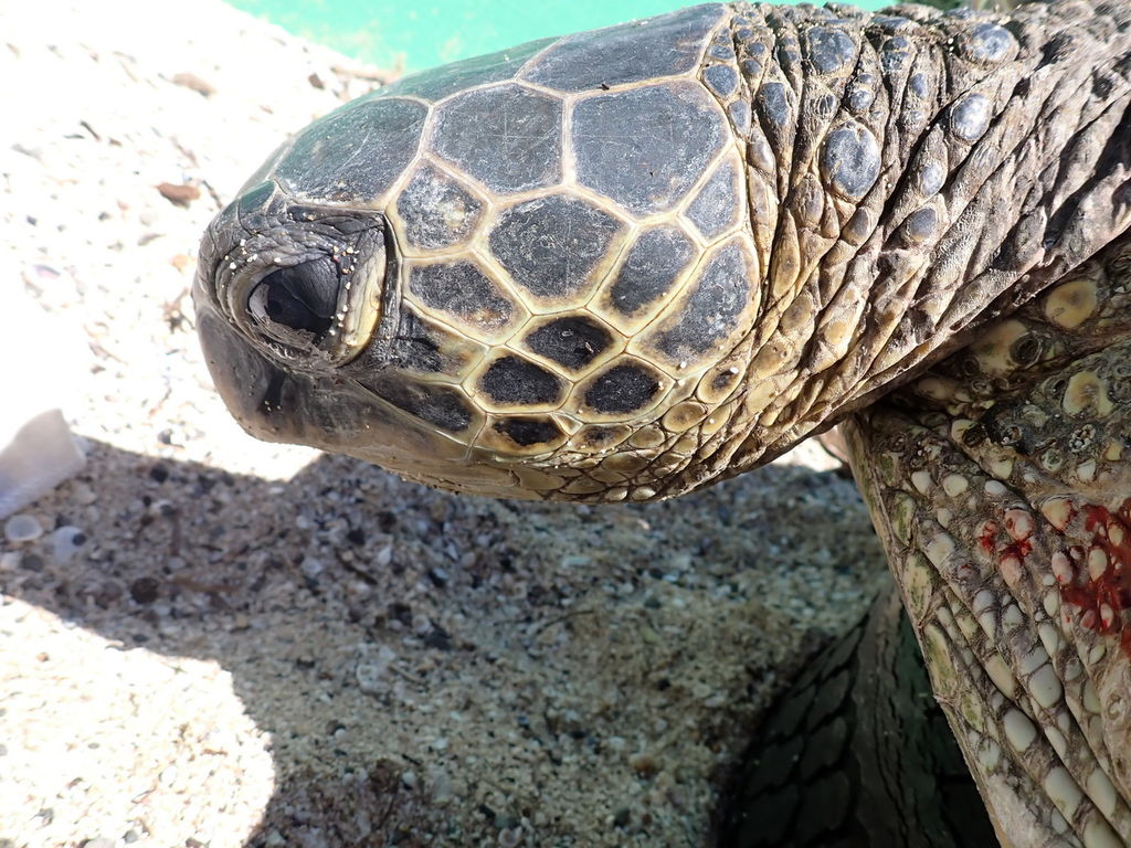 ec72534c-6338-499b-84b7-d2131fe4abff