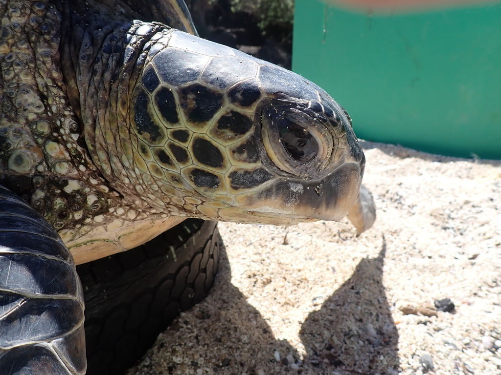 ec72534c-6338-499b-84b7-d2131fe4abff