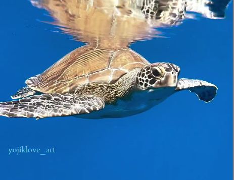 e0355187-2e18-42af-84b0-1277a5bfd611