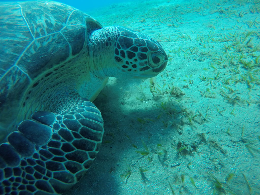 efdda73e-e395-4ac9-a10f-92978a30bdab