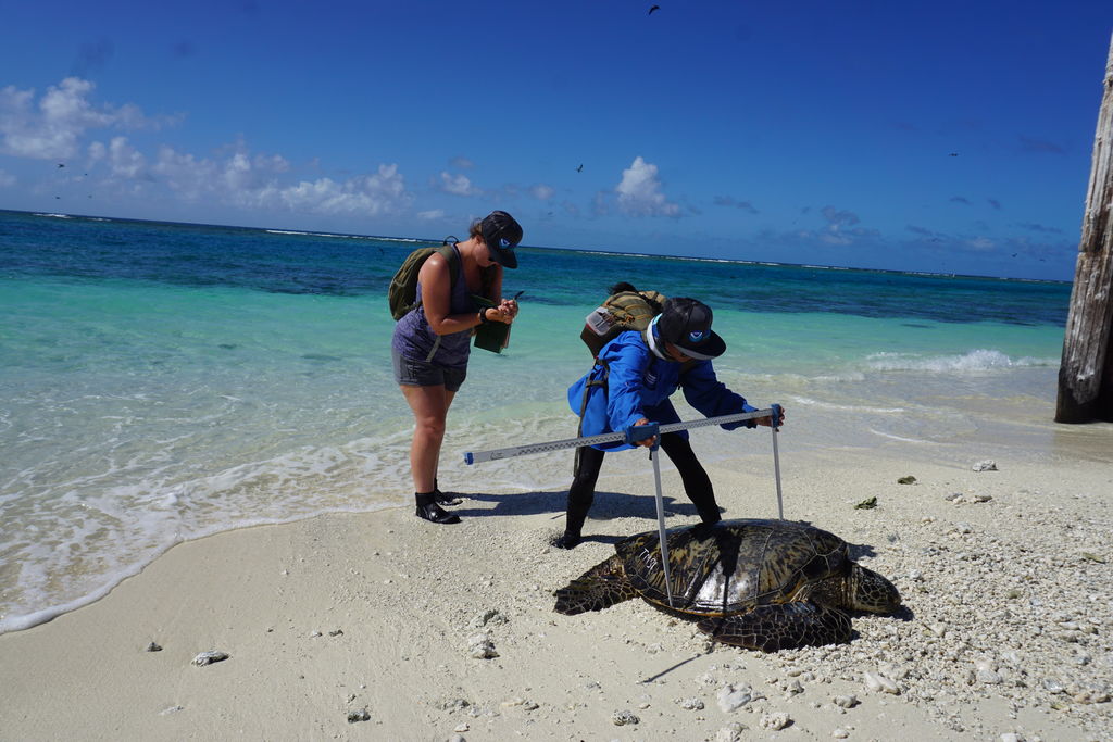 3af74e5e-c330-4241-8cab-d8d43566a7b4