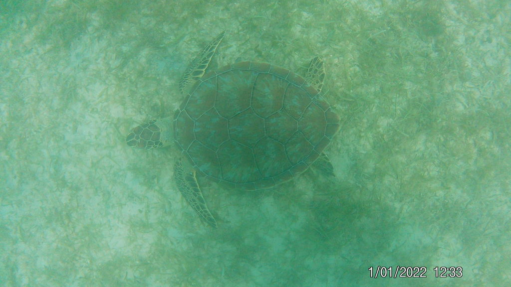 24e12598-eee9-4611-9ed8-4201bdd18114