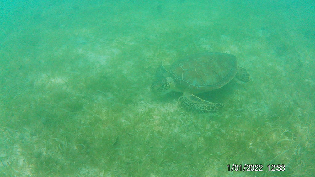 24e12598-eee9-4611-9ed8-4201bdd18114