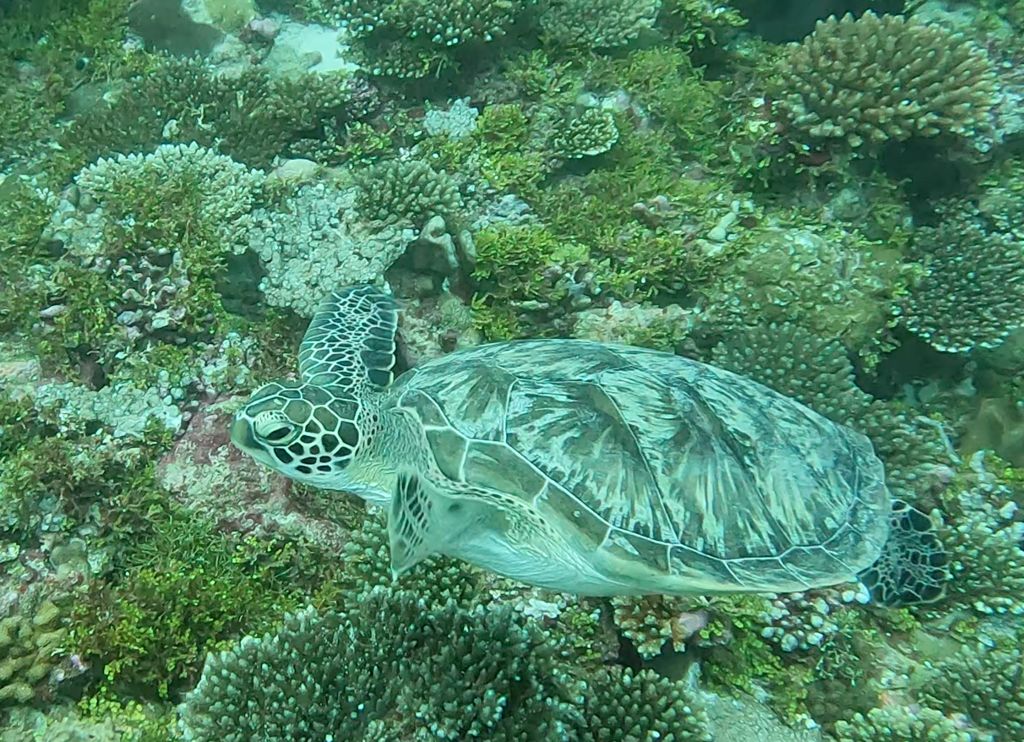 72fa4c24-2108-4096-abb7-f6cfdc5af851