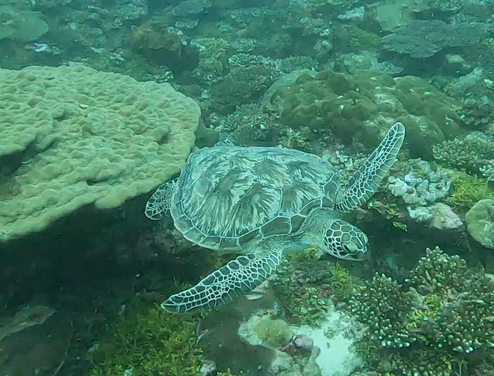 72fa4c24-2108-4096-abb7-f6cfdc5af851