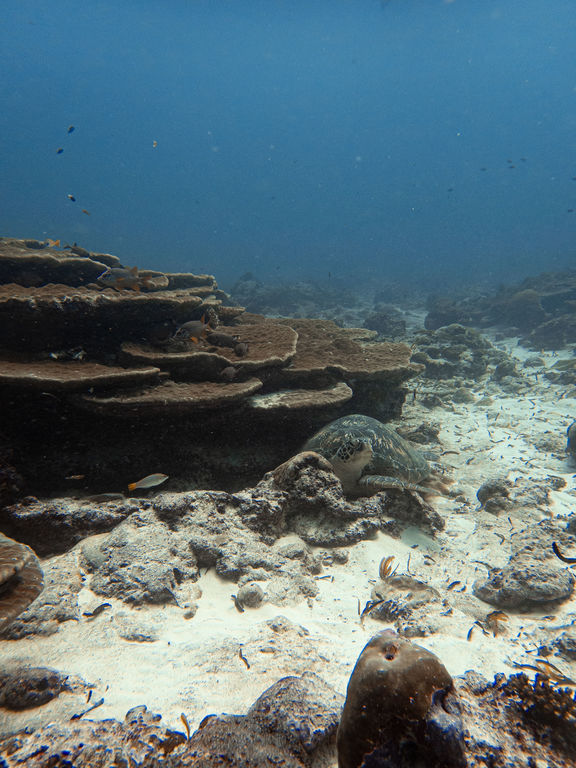 d72c4aaf-a2bf-450c-9372-802f49f7c130