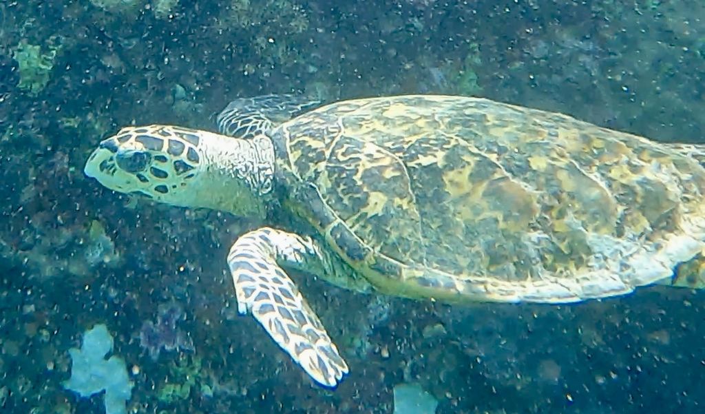 eb1c848e-0666-4b90-b27e-e63effa52d27