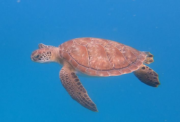 2f3c79c1-ecd8-470a-8cff-73d0fd941088