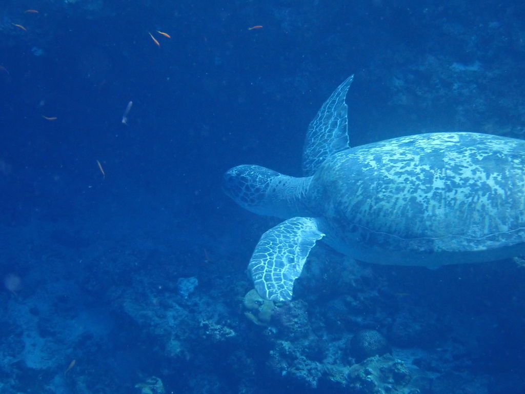 3cb84f18-fdaa-4b5e-b0a3-d73fdb41fda4