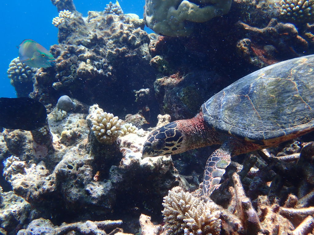 9c8dec87-d795-450f-86a4-3bc08c29c46a