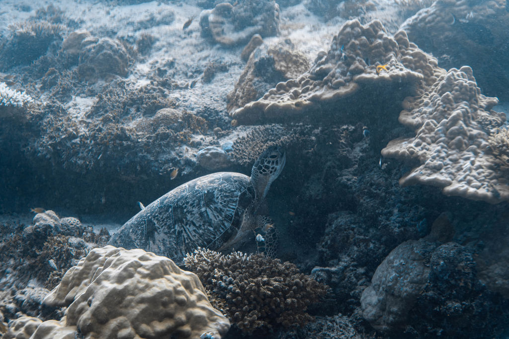 374630b6-c8b8-4e53-933b-719032dea271