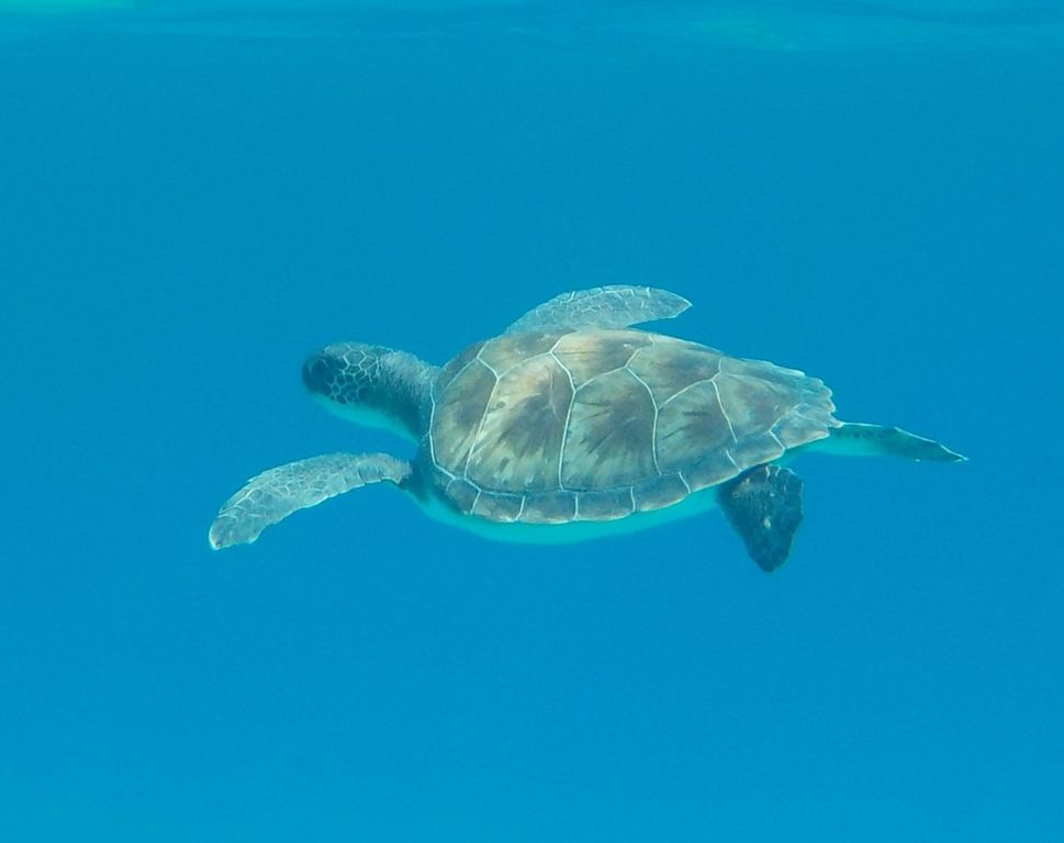 fe5230c8-050d-4278-aae0-a2c024305b24