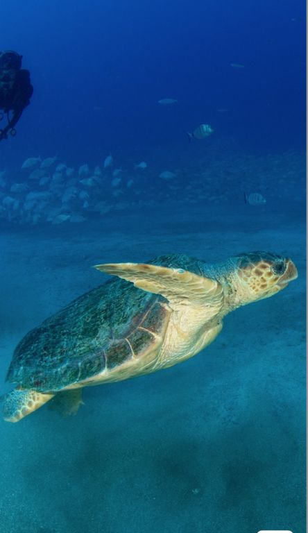 22455060-26d6-4ba9-8791-90f3d419e7af