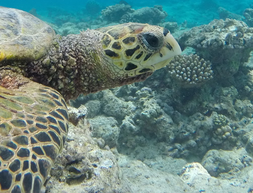 742b0310-ca9a-411f-bb60-2db0cbf4f924