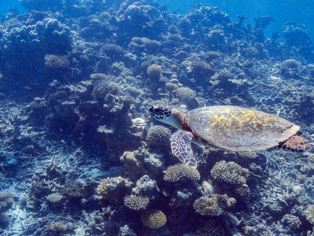 b4a3a5f2-0f1c-4900-a2e4-84628932ac9f