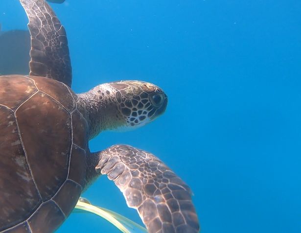 3a00fa41-ec0c-4c5c-aab2-b44d7dc4ac5a