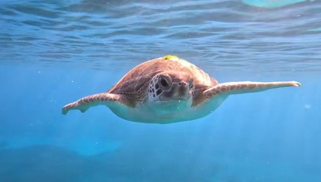 af9e3d9d-d904-484b-b427-3f12a54da736