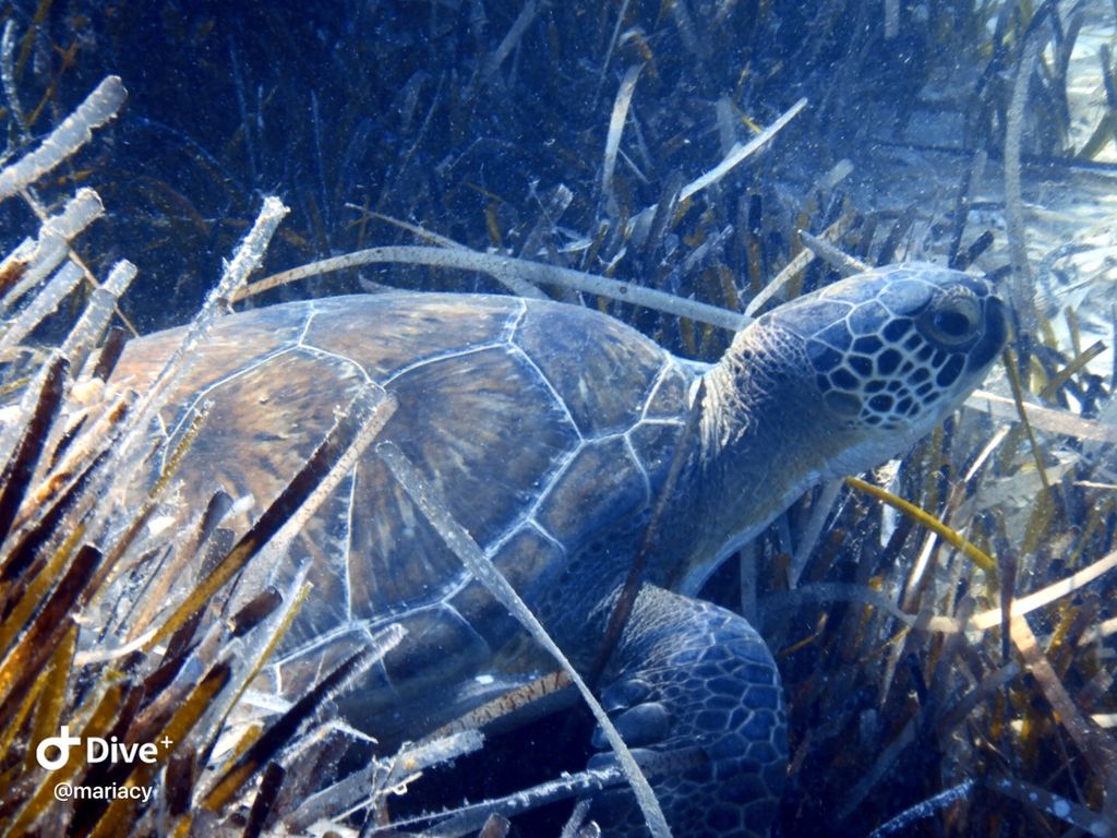 d411d9d7-8010-4bcc-a5f0-3979059439a9