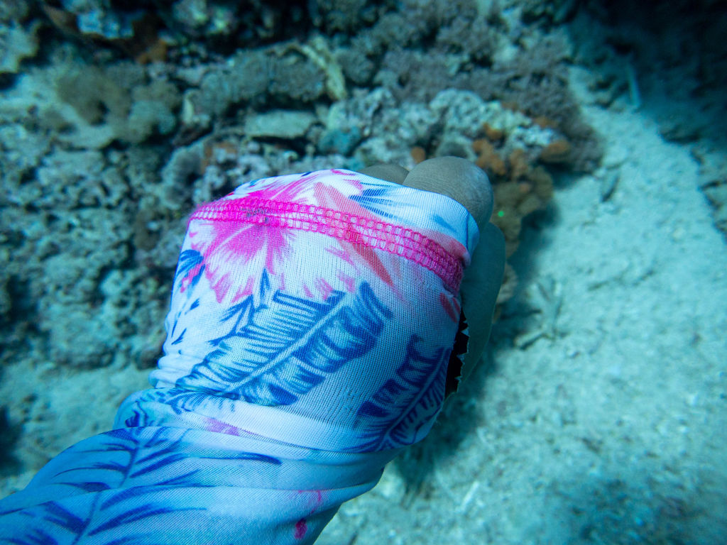 11ccb869-84b8-4279-bf0a-9b48d257e25a