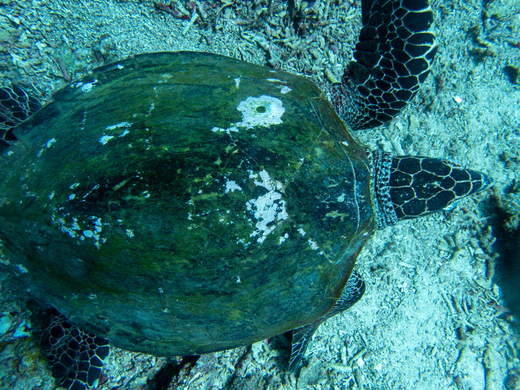 11ccb869-84b8-4279-bf0a-9b48d257e25a