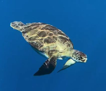 0e8b5c65-69b0-4593-898c-764852b812c5