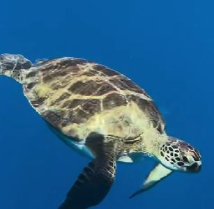 0e8b5c65-69b0-4593-898c-764852b812c5