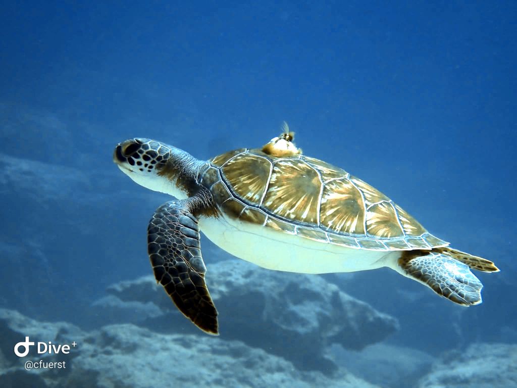 d83fde8f-7018-4311-ace8-8e15ecbca2ab