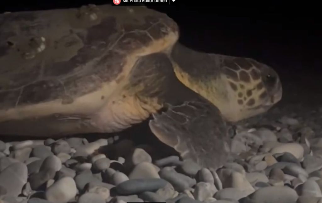 877ee079-8abf-44d2-b88f-bc7320a7fe4b