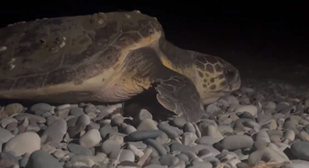 877ee079-8abf-44d2-b88f-bc7320a7fe4b