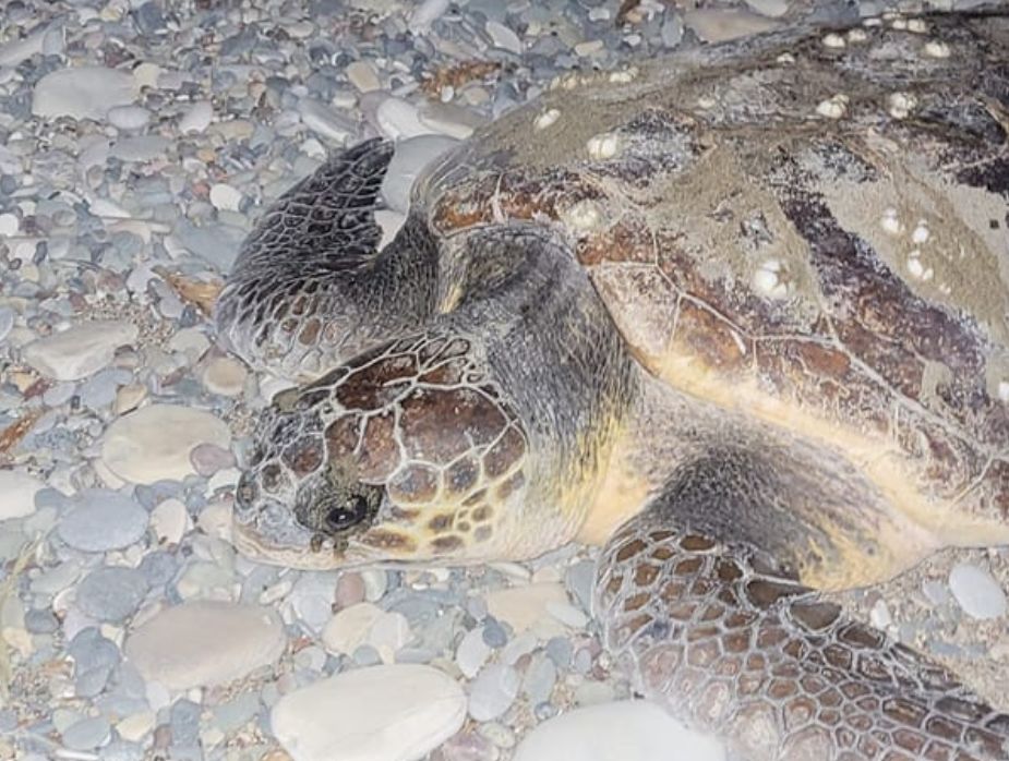 877ee079-8abf-44d2-b88f-bc7320a7fe4b