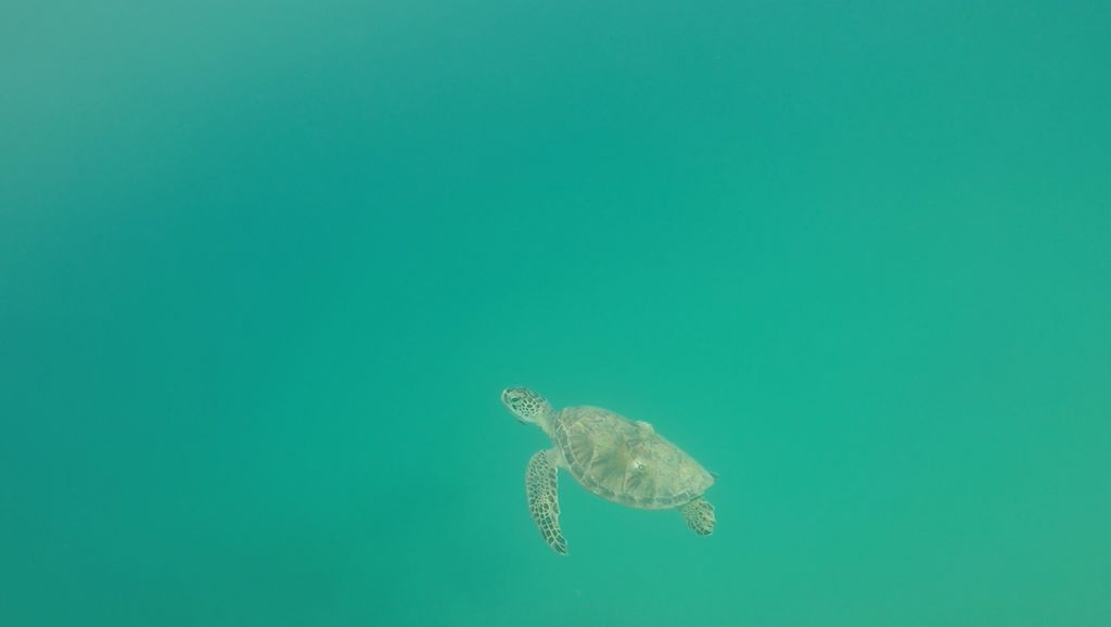 8a4b5dd9-1edd-4a4d-888f-e2644ab4effb