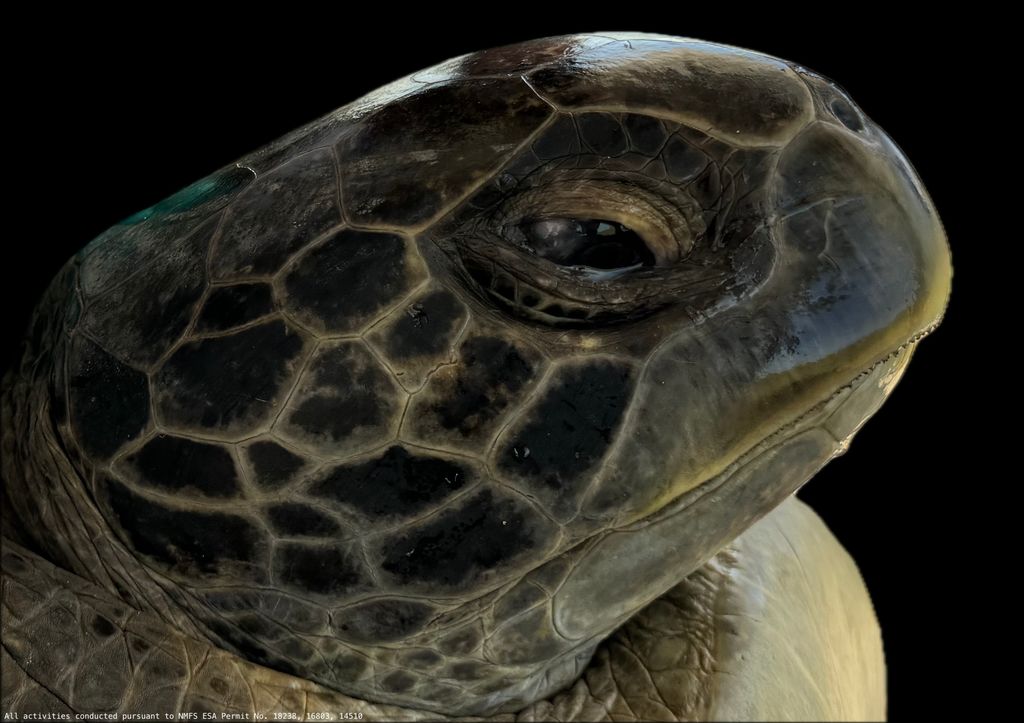 6ec90ed1-79b0-4114-9ee6-4a457e6e478a