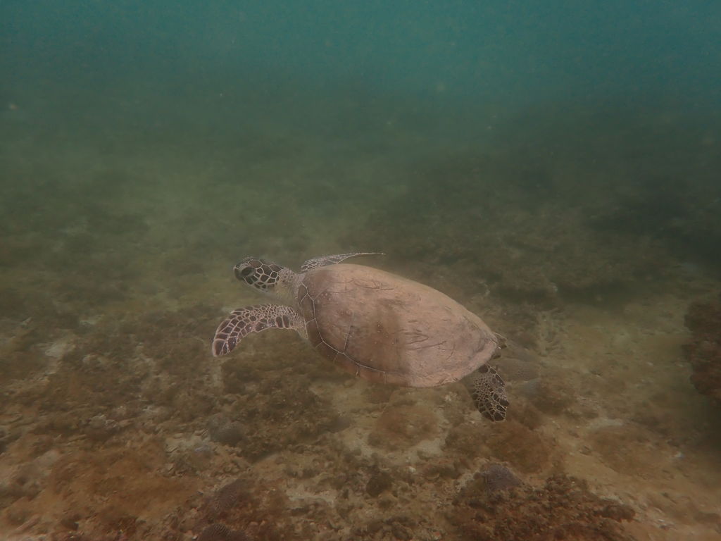 60ea336e-9341-4ca8-82fc-9e0ce85fa593