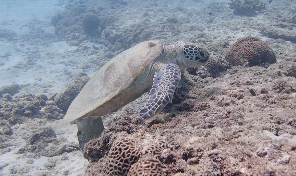 98ef5b3c-bcd2-44d9-b5e4-68567971e8fe