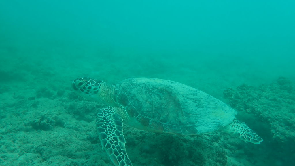 8706d23f-6b63-4192-8a6b-d9624c9e495d