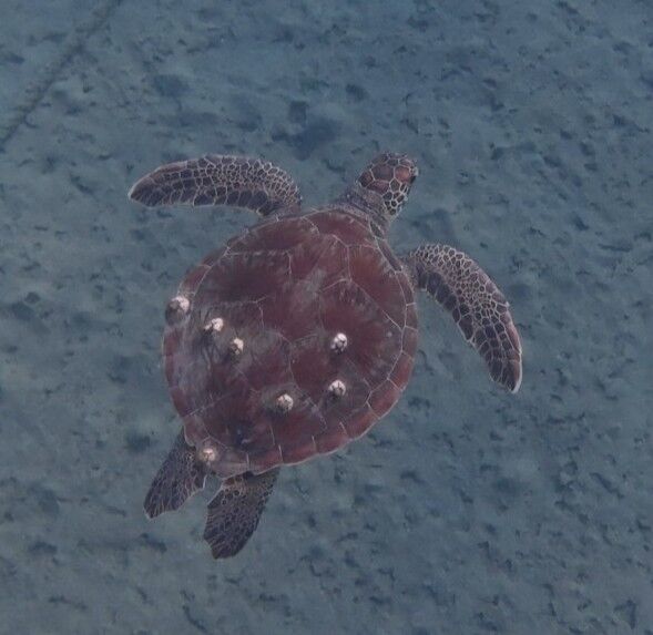 c4344abd-5b17-4814-92bc-29d39d52d138