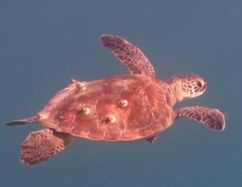 c4344abd-5b17-4814-92bc-29d39d52d138