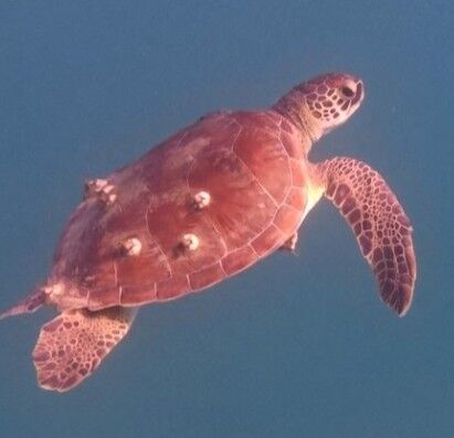 c4344abd-5b17-4814-92bc-29d39d52d138