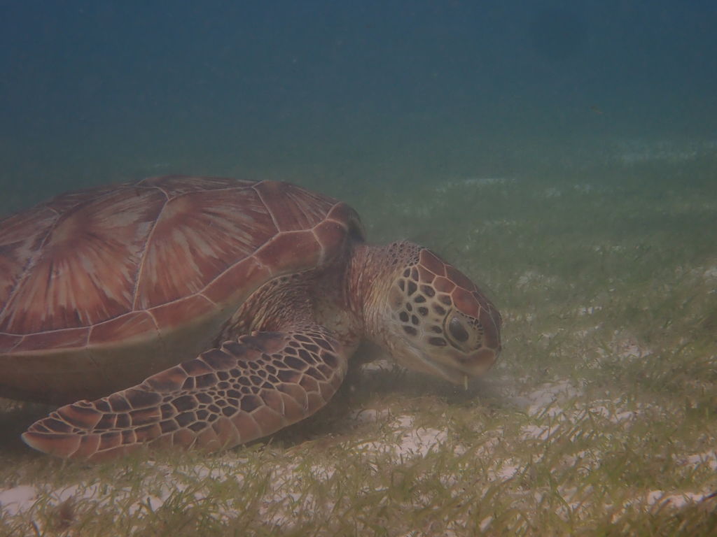 390985b4-9449-49a2-a830-fd57ebd15800