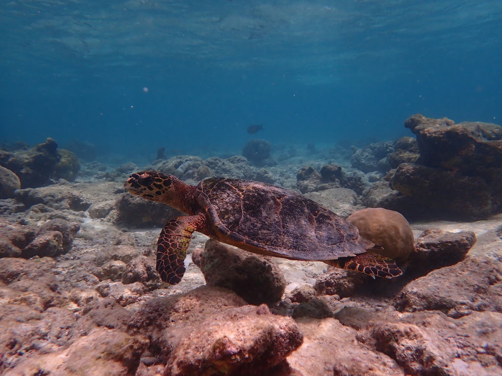 d03c91c5-d6e8-4aac-983c-b330fb6eaf96