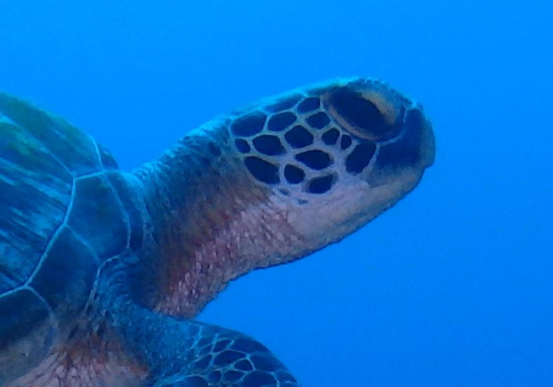 ebbe9ab7-72f0-446d-bea7-91d090a16453