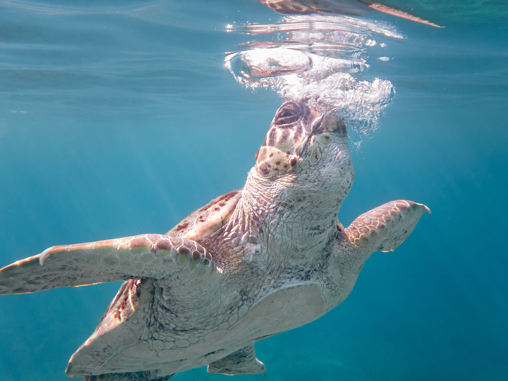 e8e8d8b6-a514-4f54-8bd6-a1d1a18ffbc6