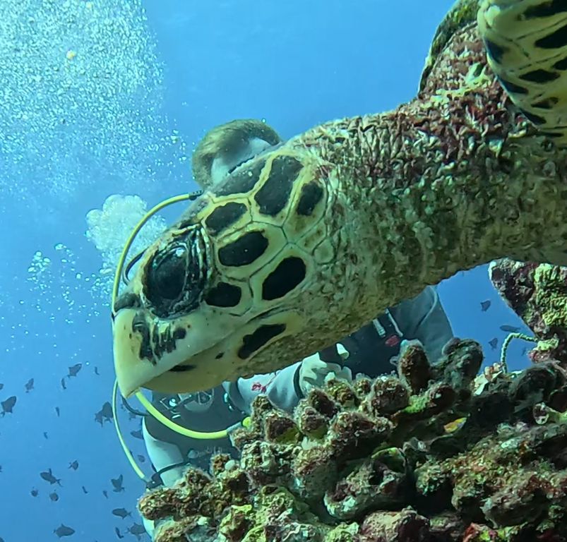 b3f46bc3-569b-4ca3-a812-38024ab3c100