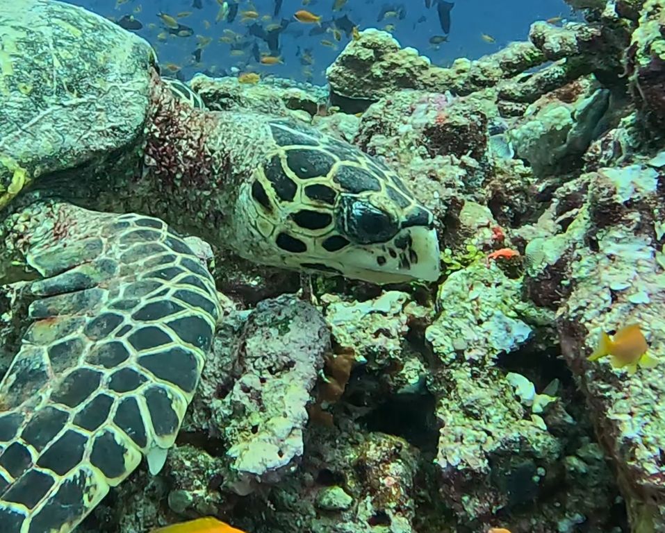 b3f46bc3-569b-4ca3-a812-38024ab3c100