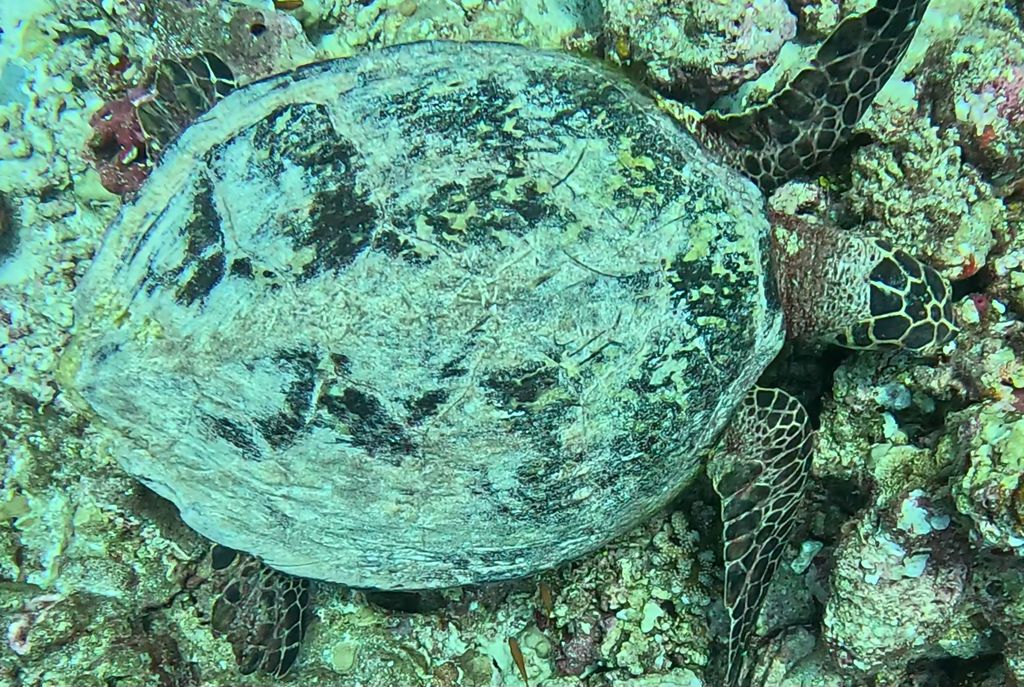 b3f46bc3-569b-4ca3-a812-38024ab3c100