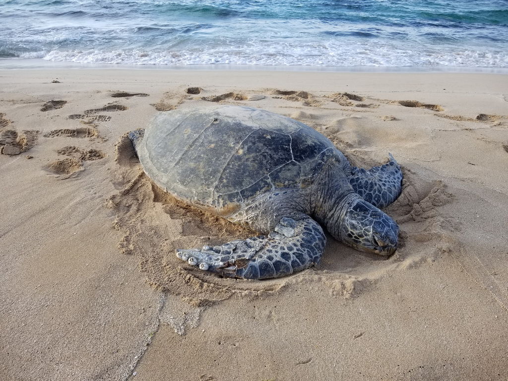 92808154-5f0a-4380-8205-485ad9a9a6d7