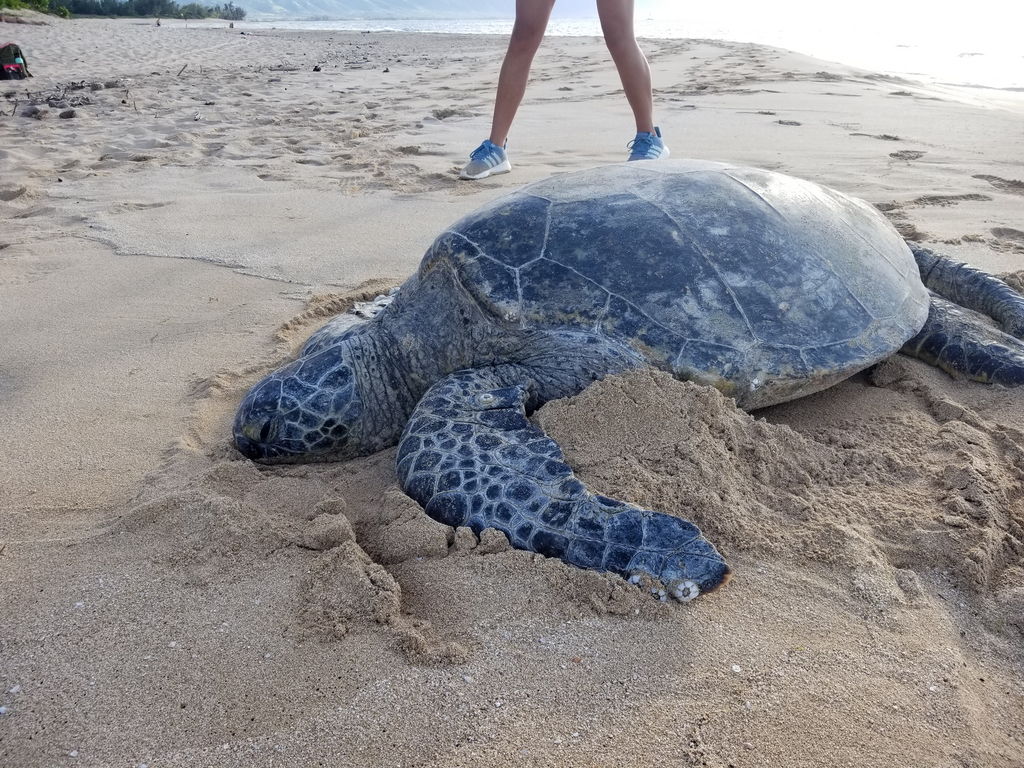 92808154-5f0a-4380-8205-485ad9a9a6d7