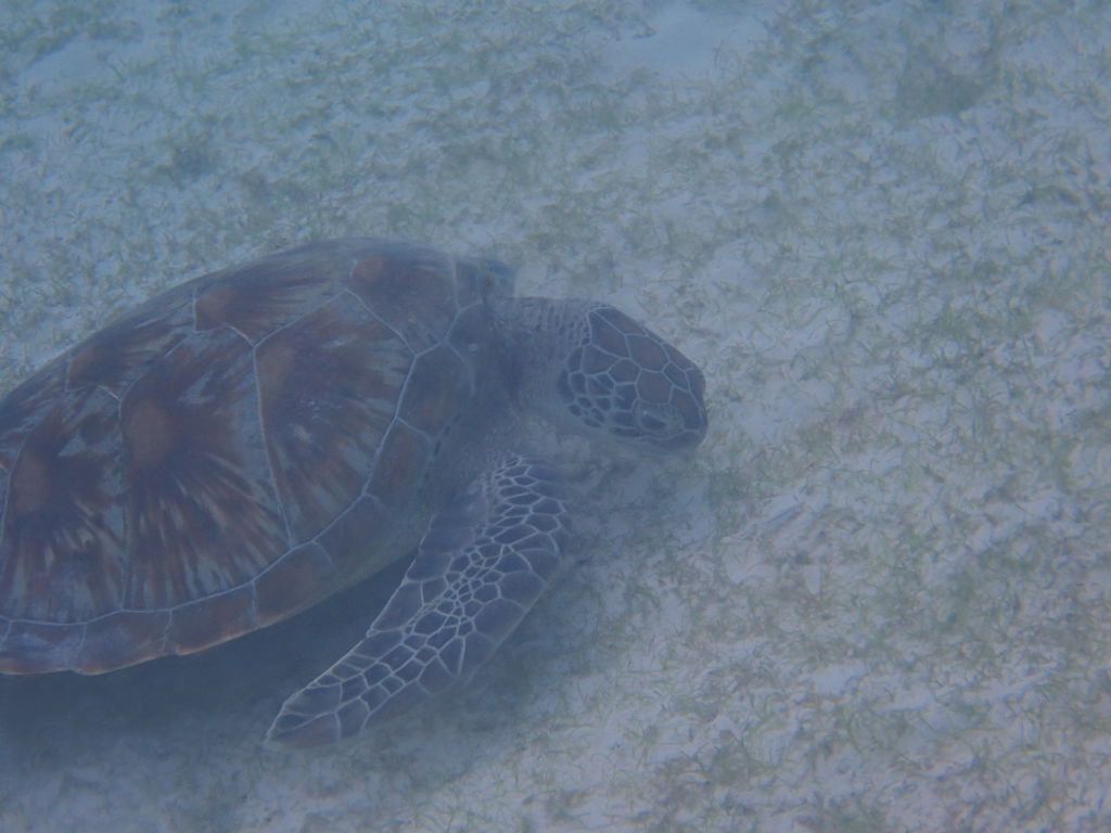 a984637d-4175-4674-810e-ac6e930ebe34