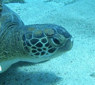 7959a278-be07-437c-8cce-85d540c2e441