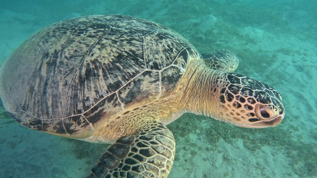 df069e05-eeba-431b-a589-c53bd3c372b6